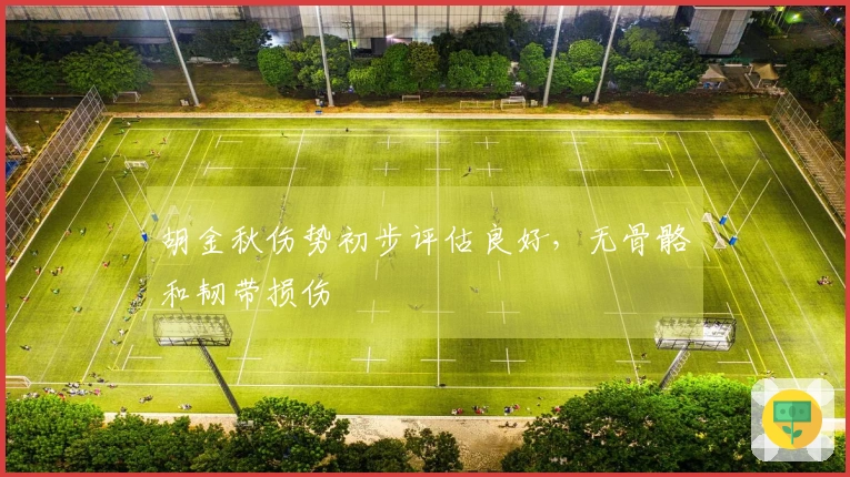 胡金秋伤势初步评估良好，无骨骼和韧带损伤